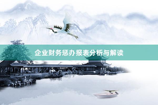 企业财务惩办报表分析与解读